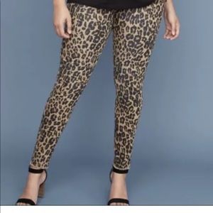 lane bryant leopard jeans 20p Petite Pants Black Orange Animal Print Stretch